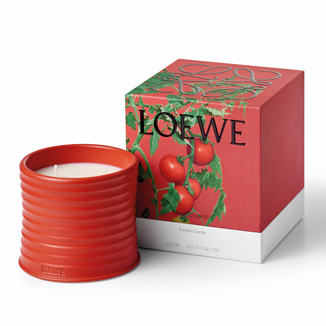 10の植物の香りをベースに。ロエベ初のホームフレグランスが発売