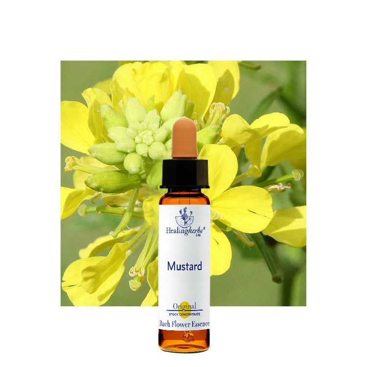 ヒーリングハーブスフラワーエッセンス | ニールズヤード レメディーズ