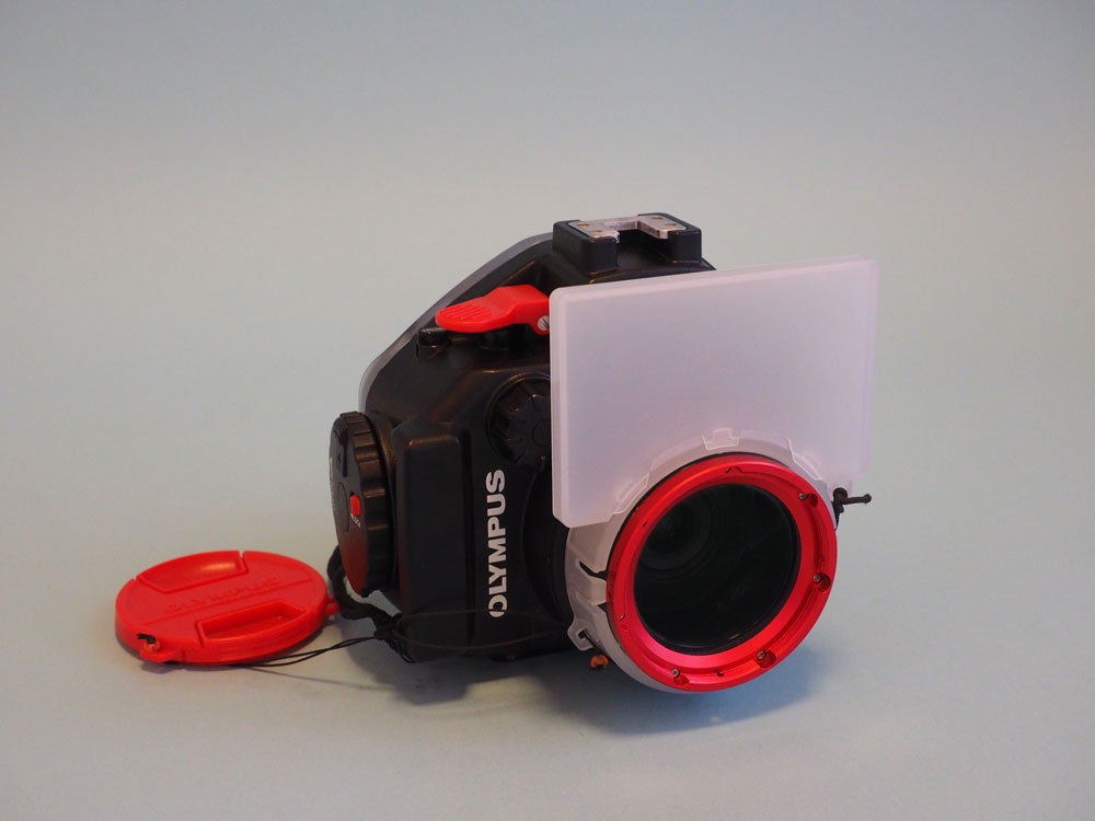 ミスターオリンパス水中“清水淳のカメラレビュー】E-PL7、PT-EP12を