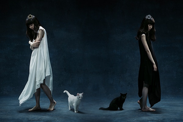 Aimer「BEST SELECTION 