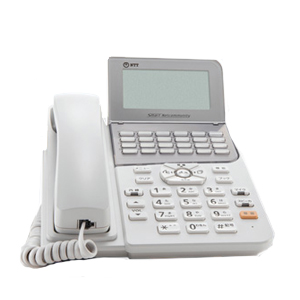 M出品 NTT西日本】テレワーク対応多機能ビジネスフォンシステム