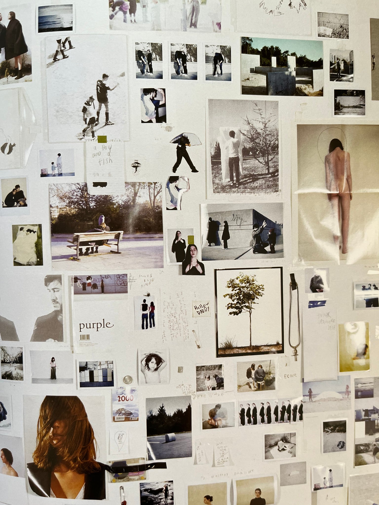 Not in Fashion - Mark Borthwick – Offbrand Library