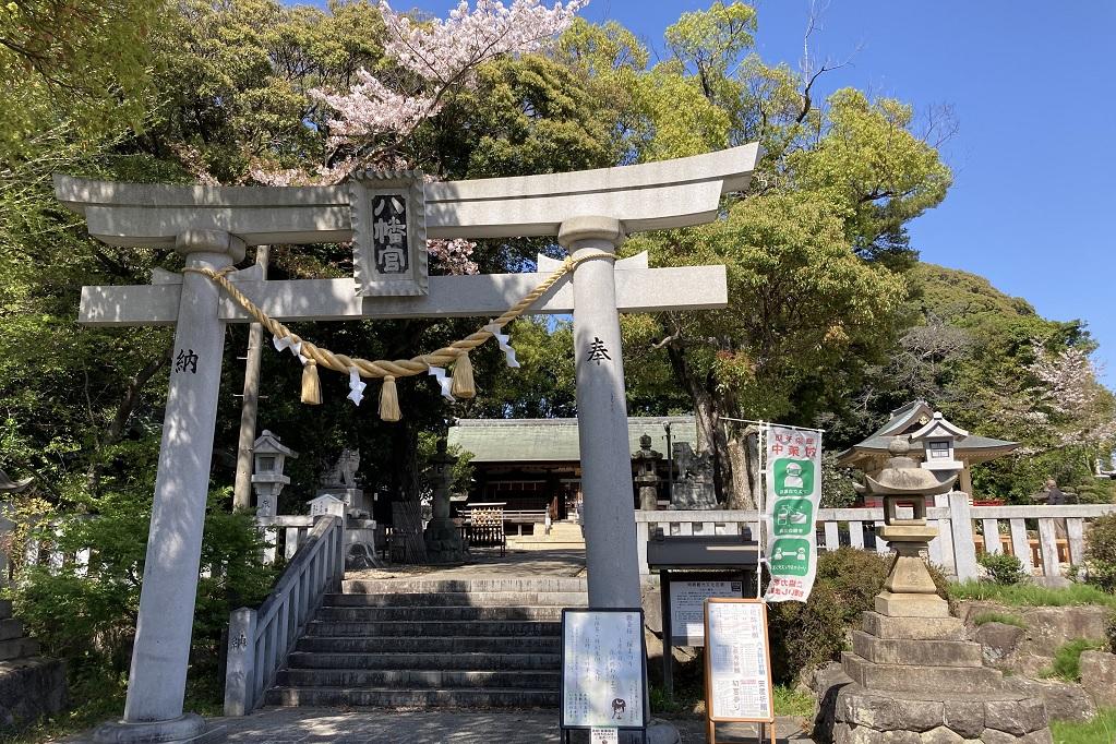 上地八幡宮鬱金桜 桜まつり｜イベント｜岡崎おでかけナビ - 岡崎市観光