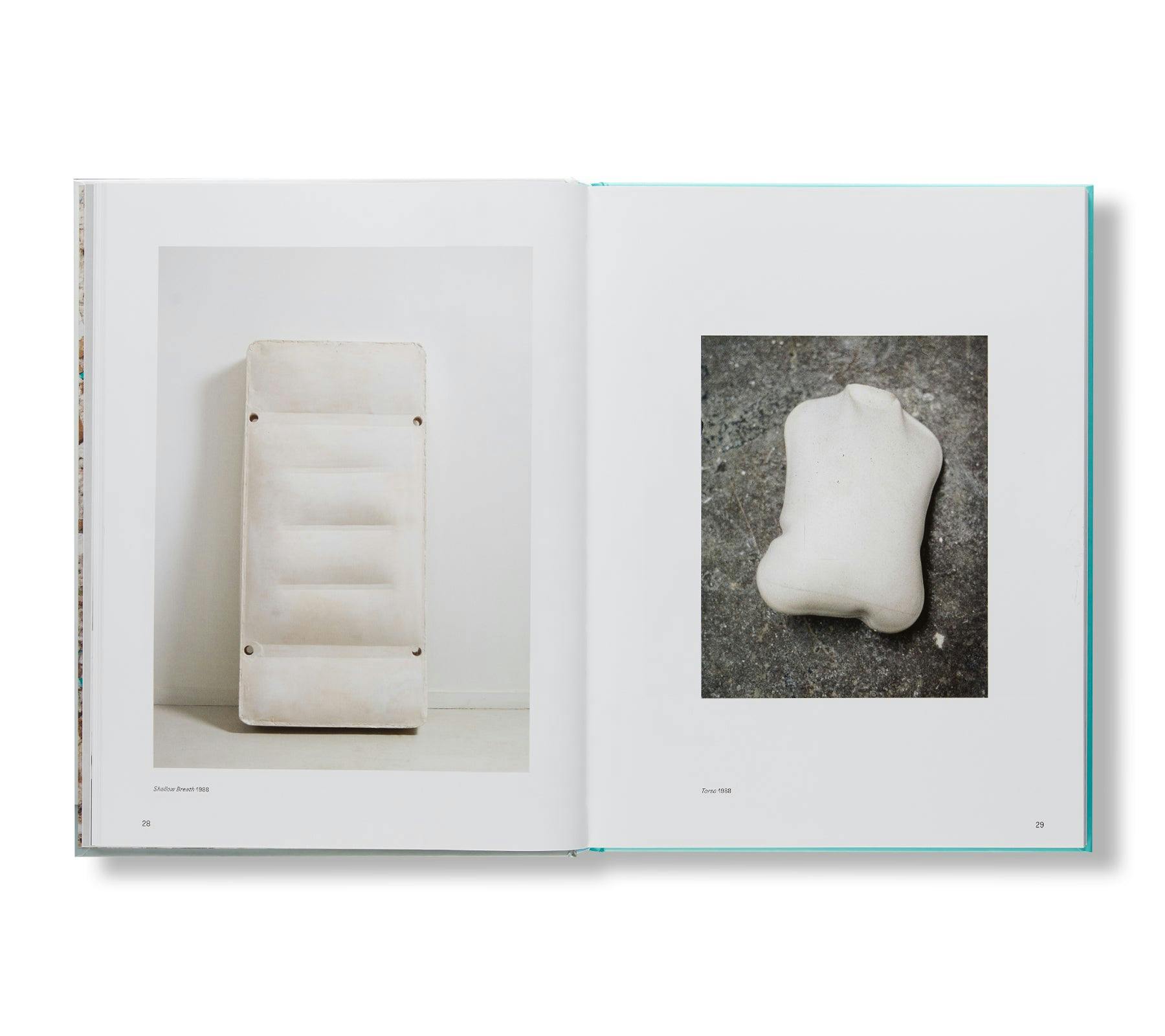 RACHEL WHITEREAD (2018)：レイチェル・ホワイトリード | OIL - 現代