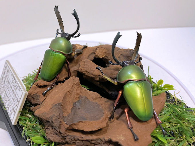 インペラトールホソアカクワガタ♂82mmレプリカ標本 | オオクワ京都昆虫館