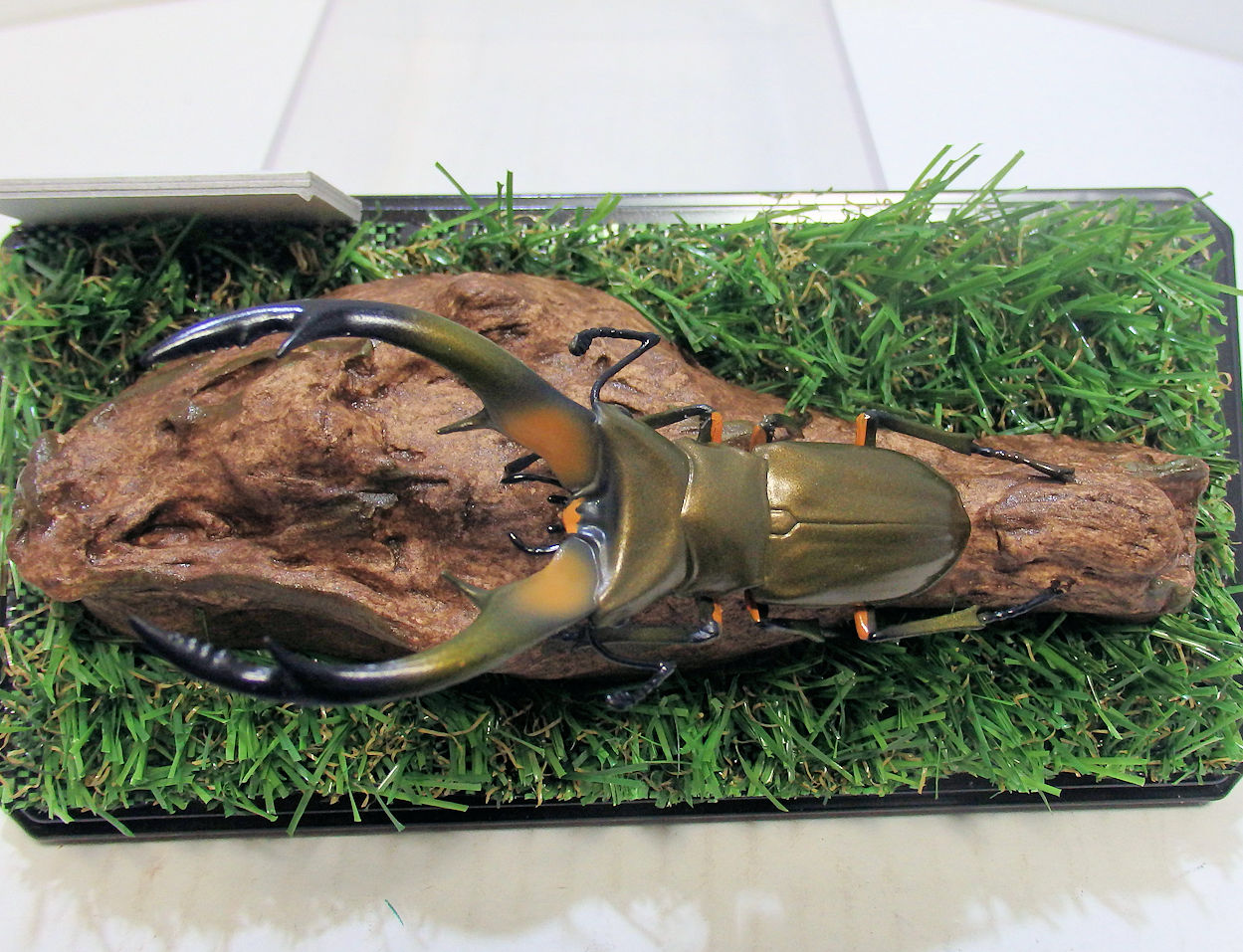 エラフスホソアカクワガタ♂83mmレプリカ標本 | オオクワ京都昆虫館