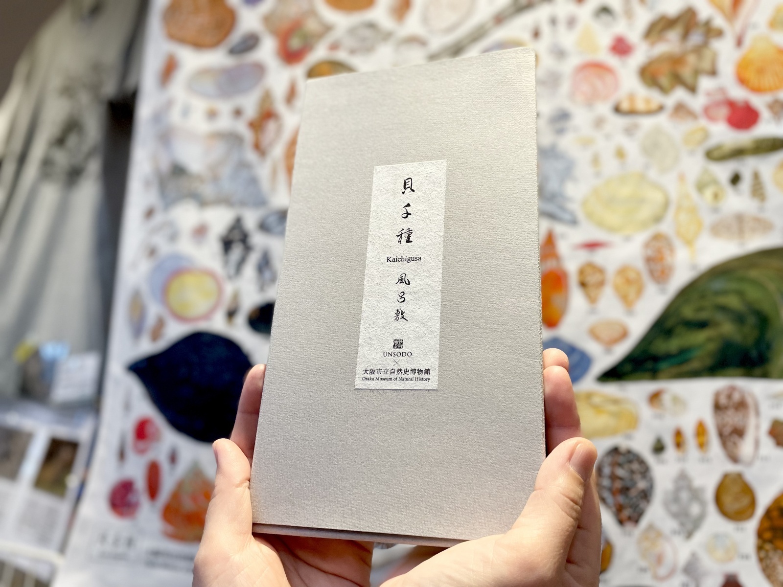 貝千種」風呂敷 - 大阪市立自然史博物館友の会ネットショップ