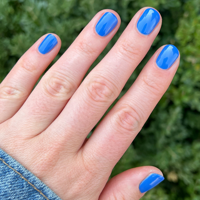 Blue Canoe – Olive and June