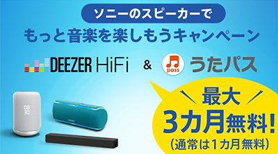 h.ear go 2 ワイヤレスポータブルスピーカー「SRS-HG10」ストア実機