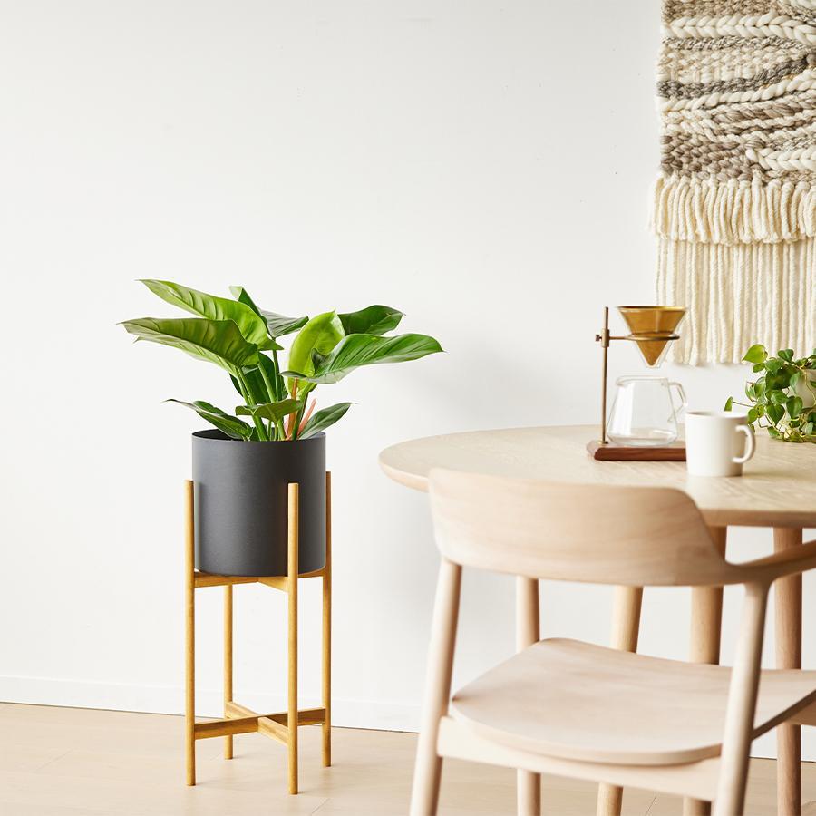 YAMATEI | プラントポット / フェルム シリンダー （直径26cm