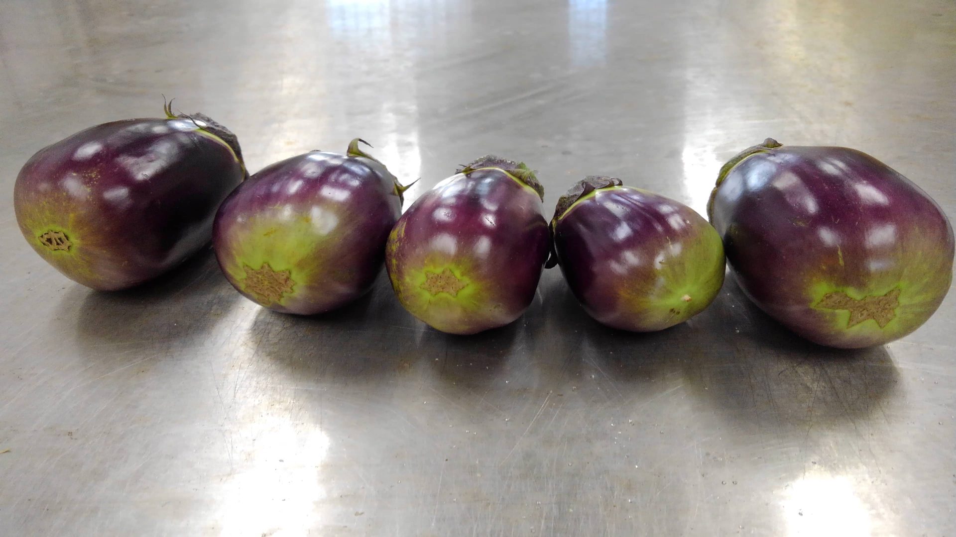 貝塚澤なす | 大阪産(もん)データベース