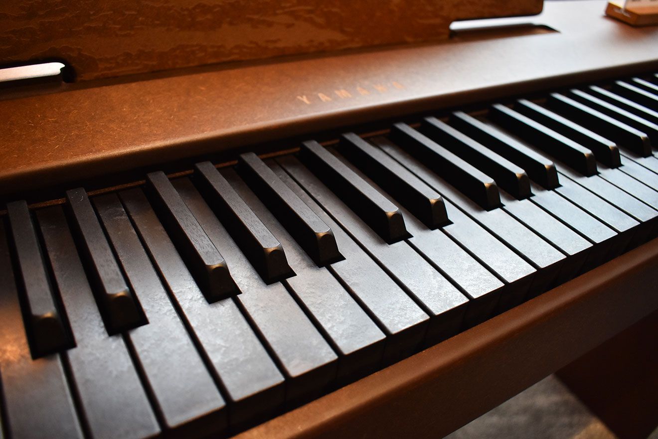 白鍵も黒い電子ピアノ」ヤマハが発売 希少木材グラナディラの未利用材