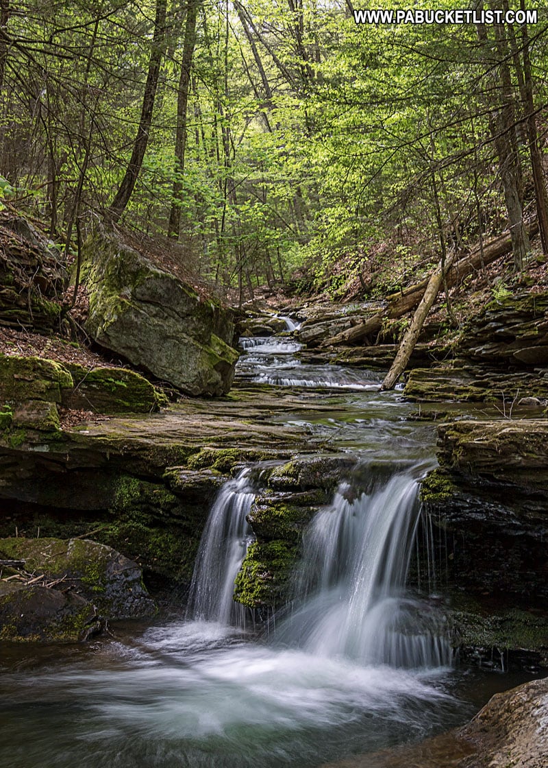The 22 Best Things to Do at Worlds End State Park
