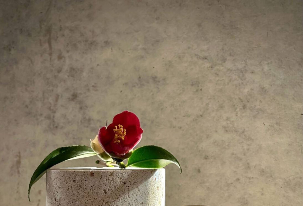 侘助－WABISUKE－｜暁の茶事に咲く、 侘び寂び の香り