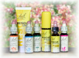 バッチフラワーレメディを全種類の一覧から選ぶ | e Pass Thyme