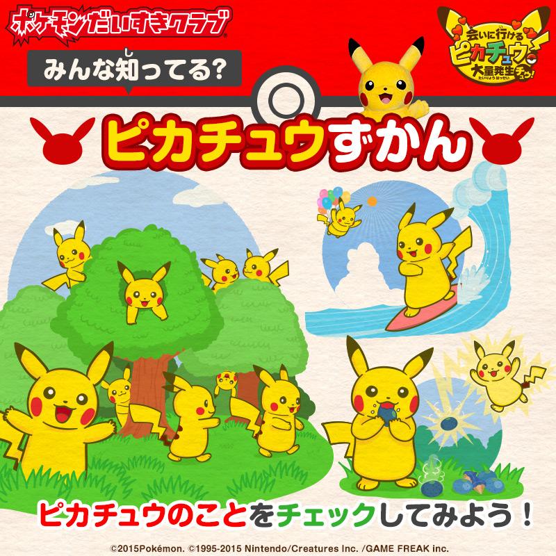 ポケモンだいすきクラブの特集「会いに行けるピカチュウ！大量発生