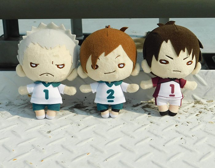 にとたんからのお知らせ】11月発売『にとたん ハイキュー!!ボール