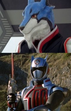 おしりたんてい マルチーズ署長より前に、自ら現場の指揮を取る犬の