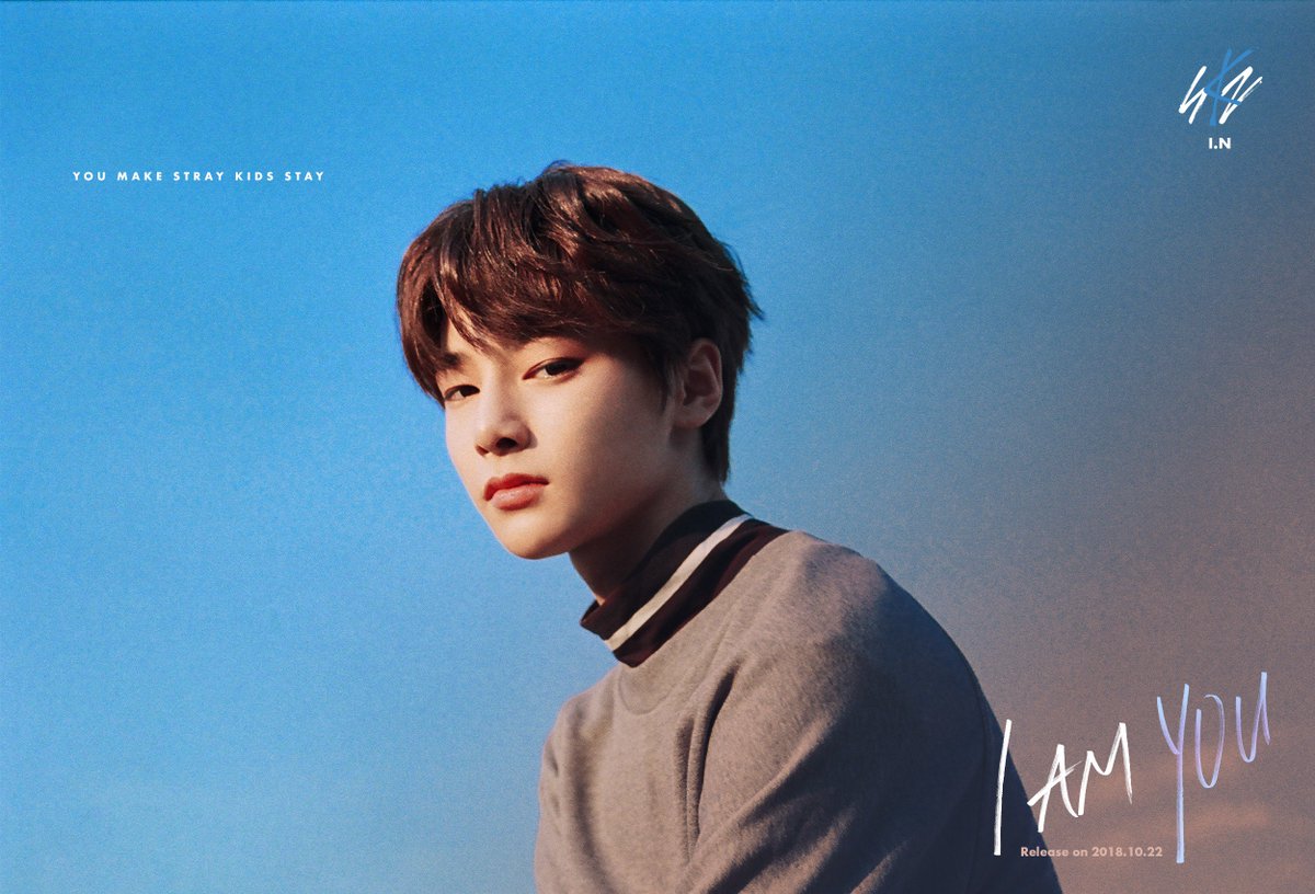 Straykids I AM YOU 名札 アイエン ジョンイン I.N Stray Kids 