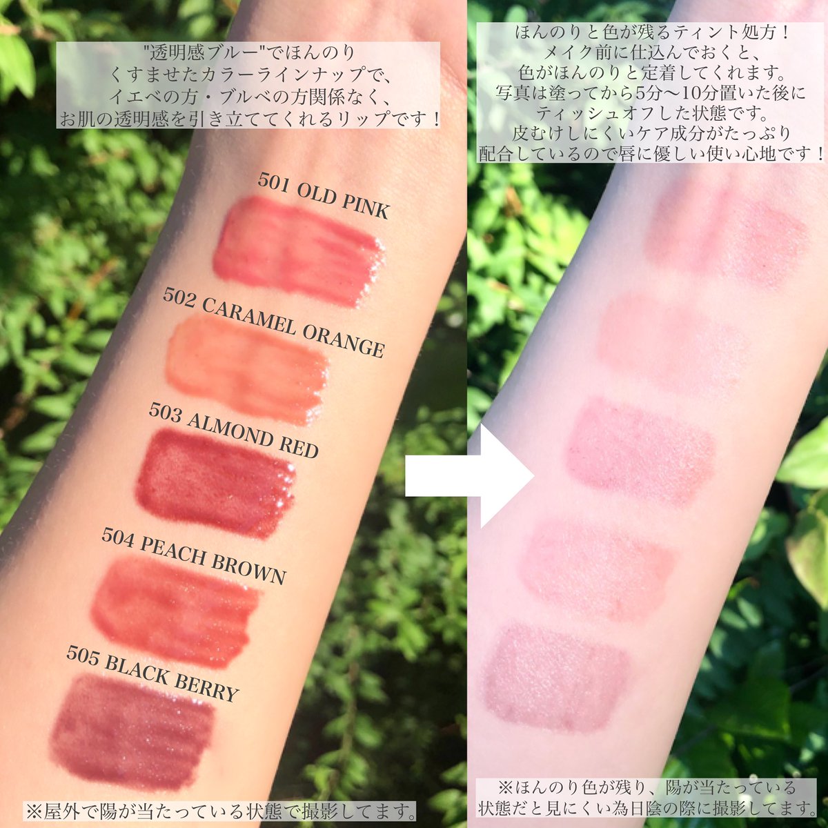 透明感底上げリップ💄 #全色レビュー 📸 ＼ #ケアオイルティントリップ