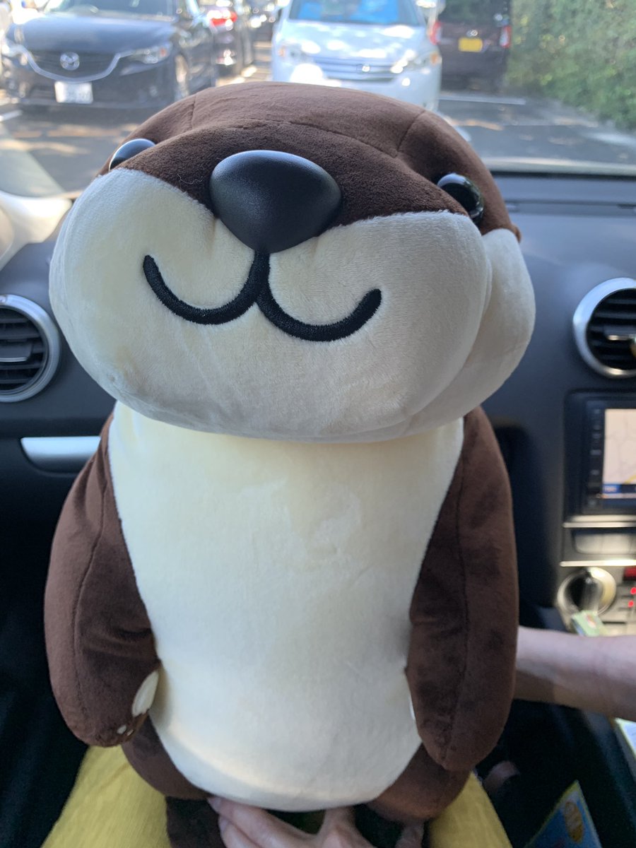 カワウソ見に南知多ビーチランド来たんだけど、入り口でちょー可愛い