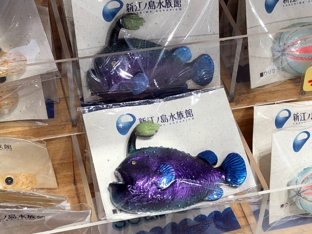 チョウチンアンコウはグッズにもなっている代表的な深海生物ですが