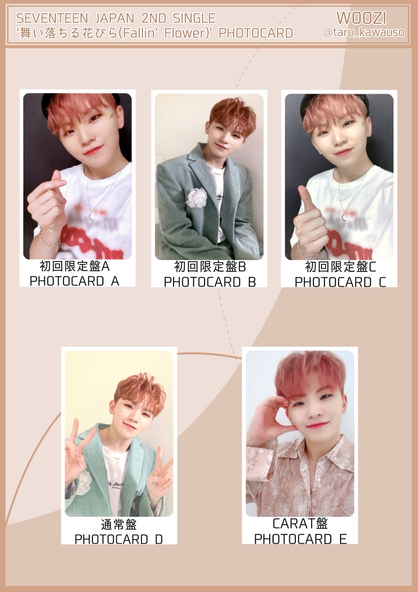 SEVENTEEN セブチ 舞い落ちる花びら Fallin' Flower フォトカード