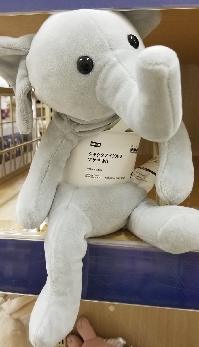 ニトリで肌触り良くて可愛いゾウのぬいぐるみが売ってた🐘 『ゾウ