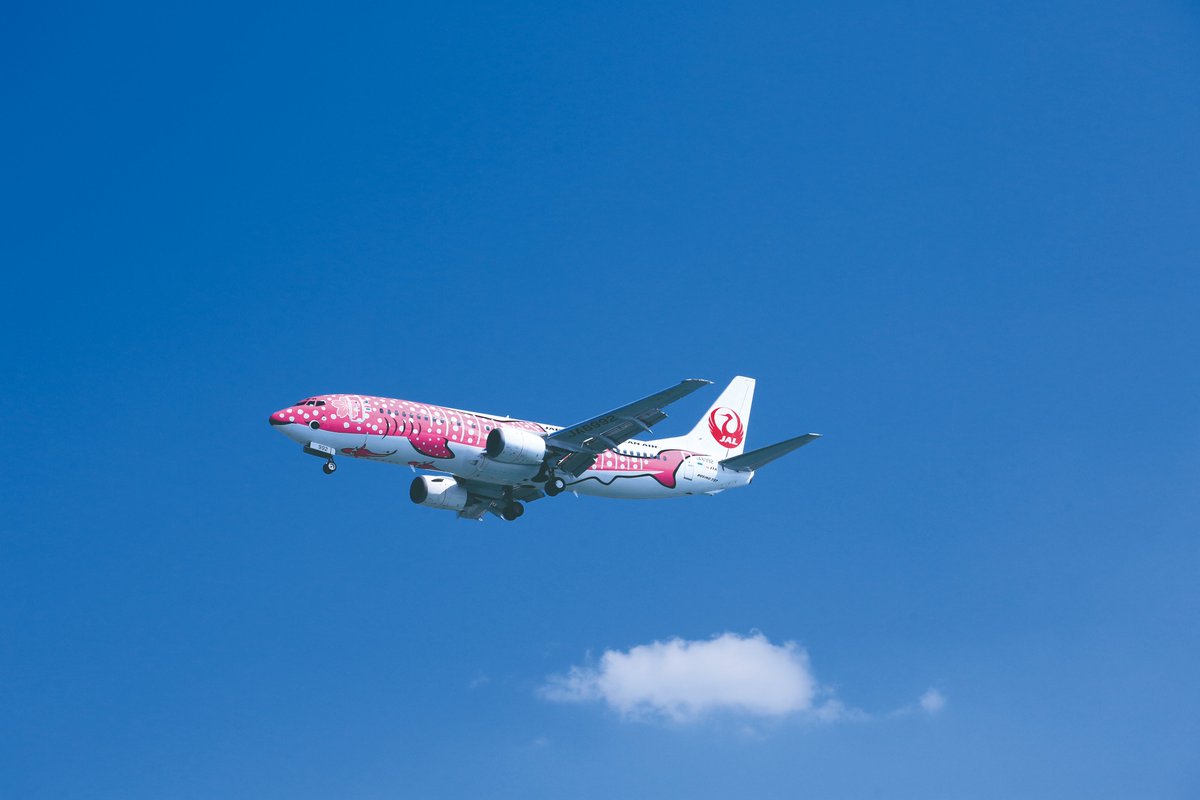 ✨JTA歴代機材紹介✨ ◇：ボーイング737-400✈️ 保有機体数：16機