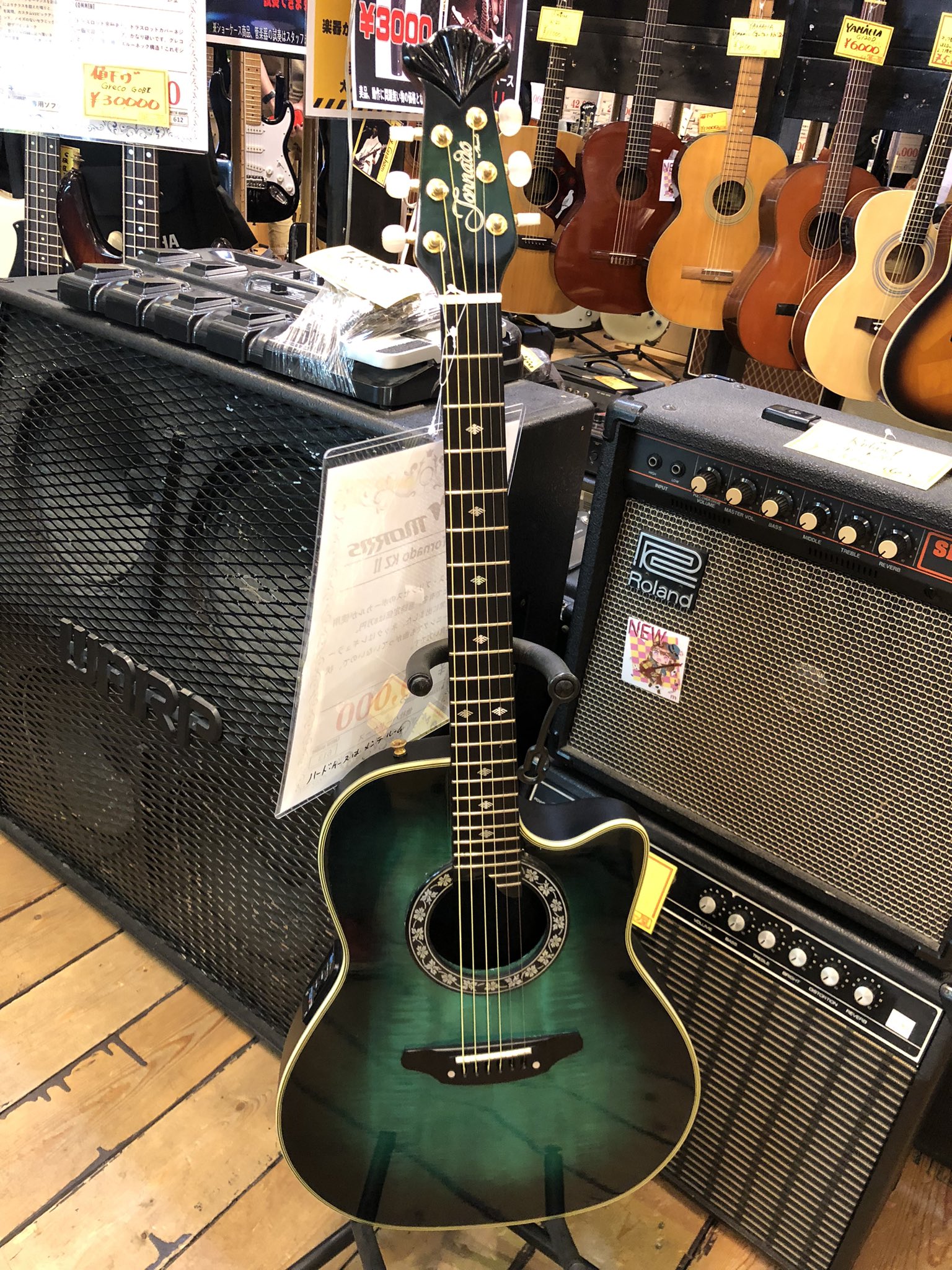 Morris◇Tornado/トルネード【ECLIPSE ZⅢ HG】Z-3◇モーリス