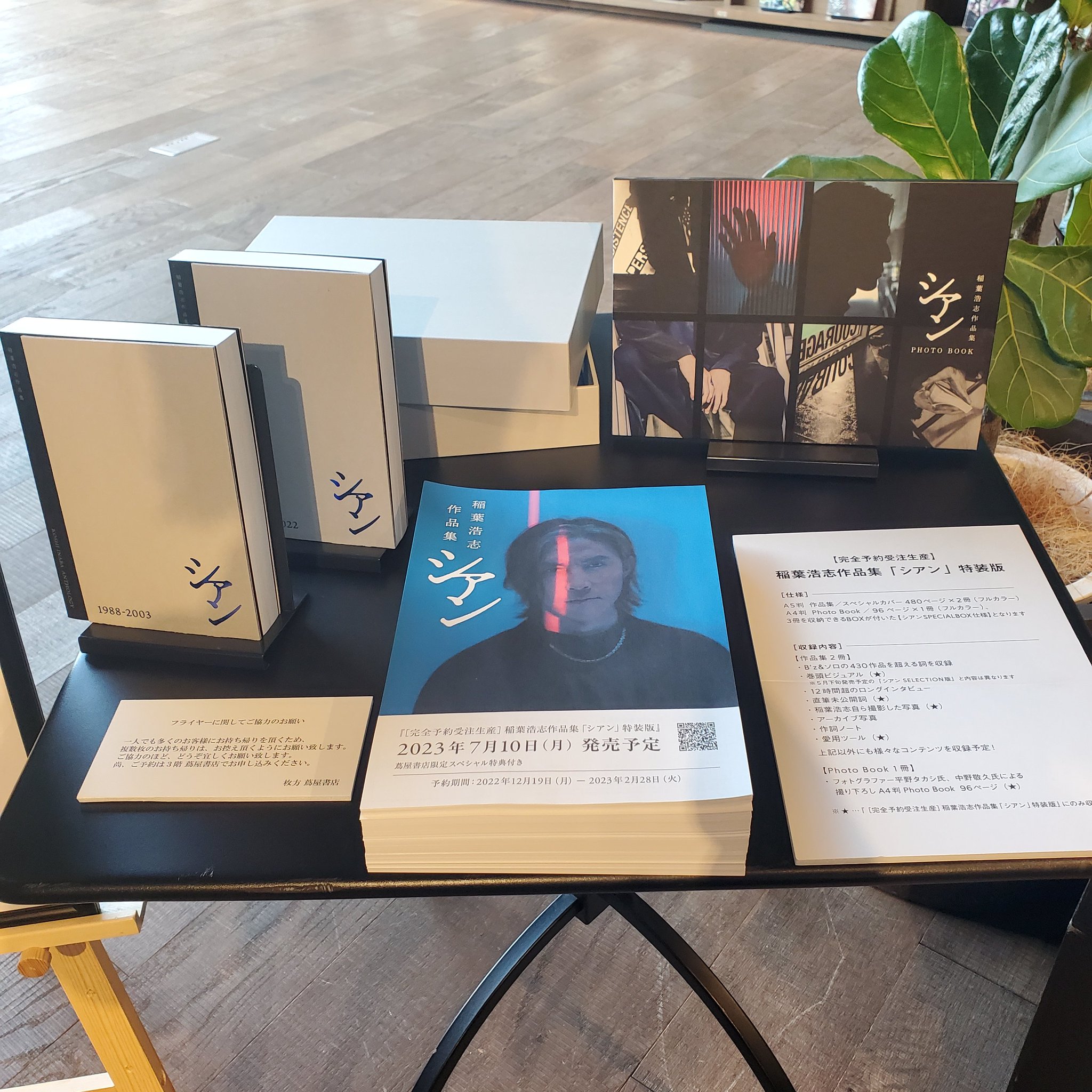 稲葉浩志作品集「シアン」特装版 稲葉浩志 シアン特装版 （蔦屋