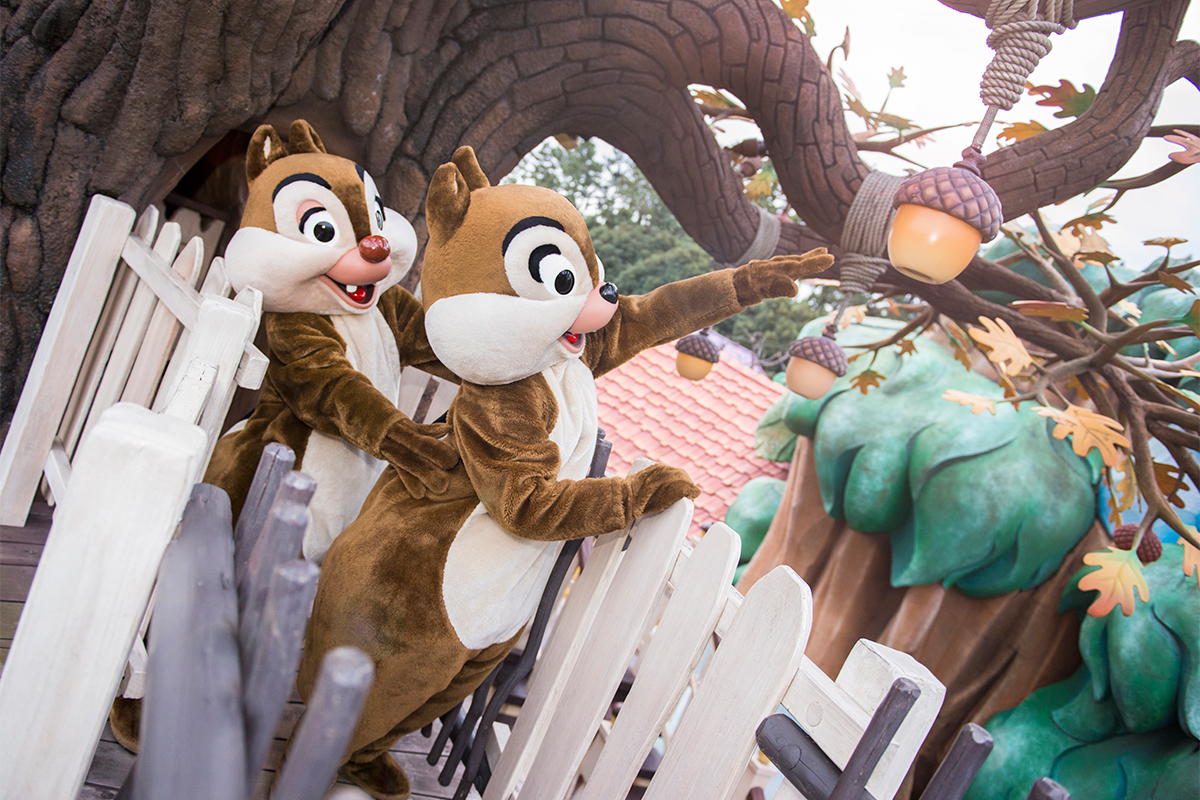 🎉🐿🎉🎉🎉🎉🎉🎉 Happy Birthday ! #チップとデール