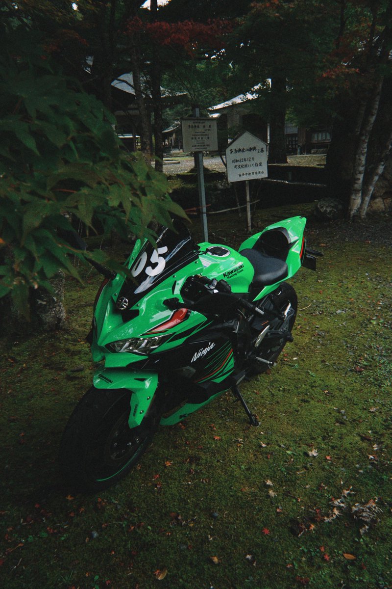 みゆ (@miyu_zx4rr) / Posts / X