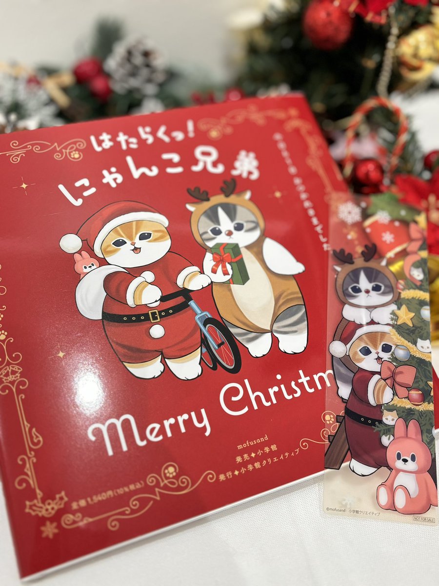 mofusandもふもふストア心斎橋PARCO ⭐️新商品のご紹介