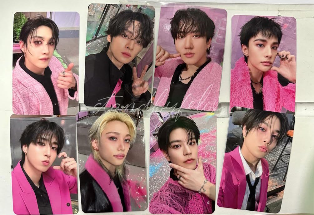 Stray Kids ［DO IT］🩶🩷 特典トレカのビジュ出てます⊹ ツリーに