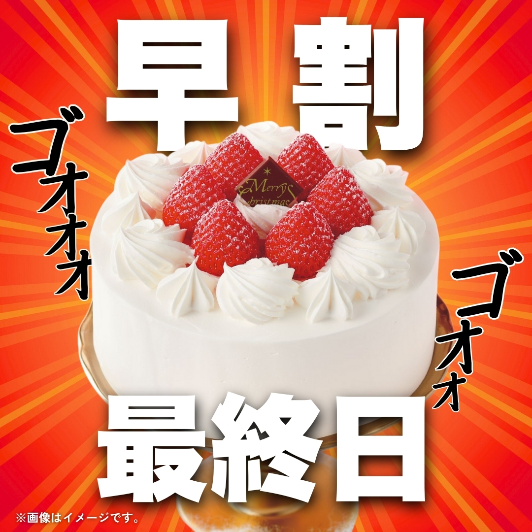 🎄🎂🎄🎂🎄🎂 ┏━┓┏━┓ ┃早┃┃割