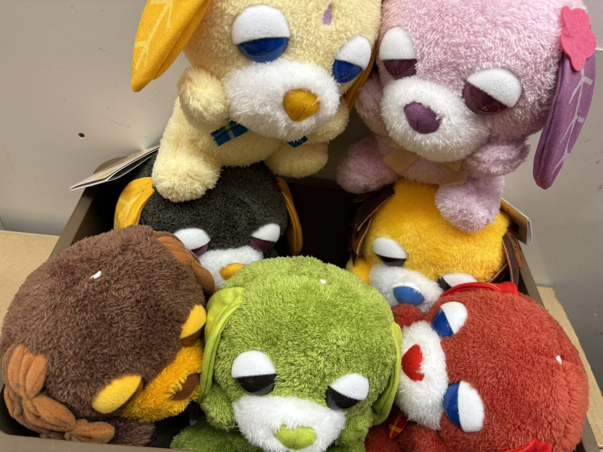 入荷情報】 ｢ #お茶犬 ひょこぴょこ ぬいぐるみ」 稼働致しました