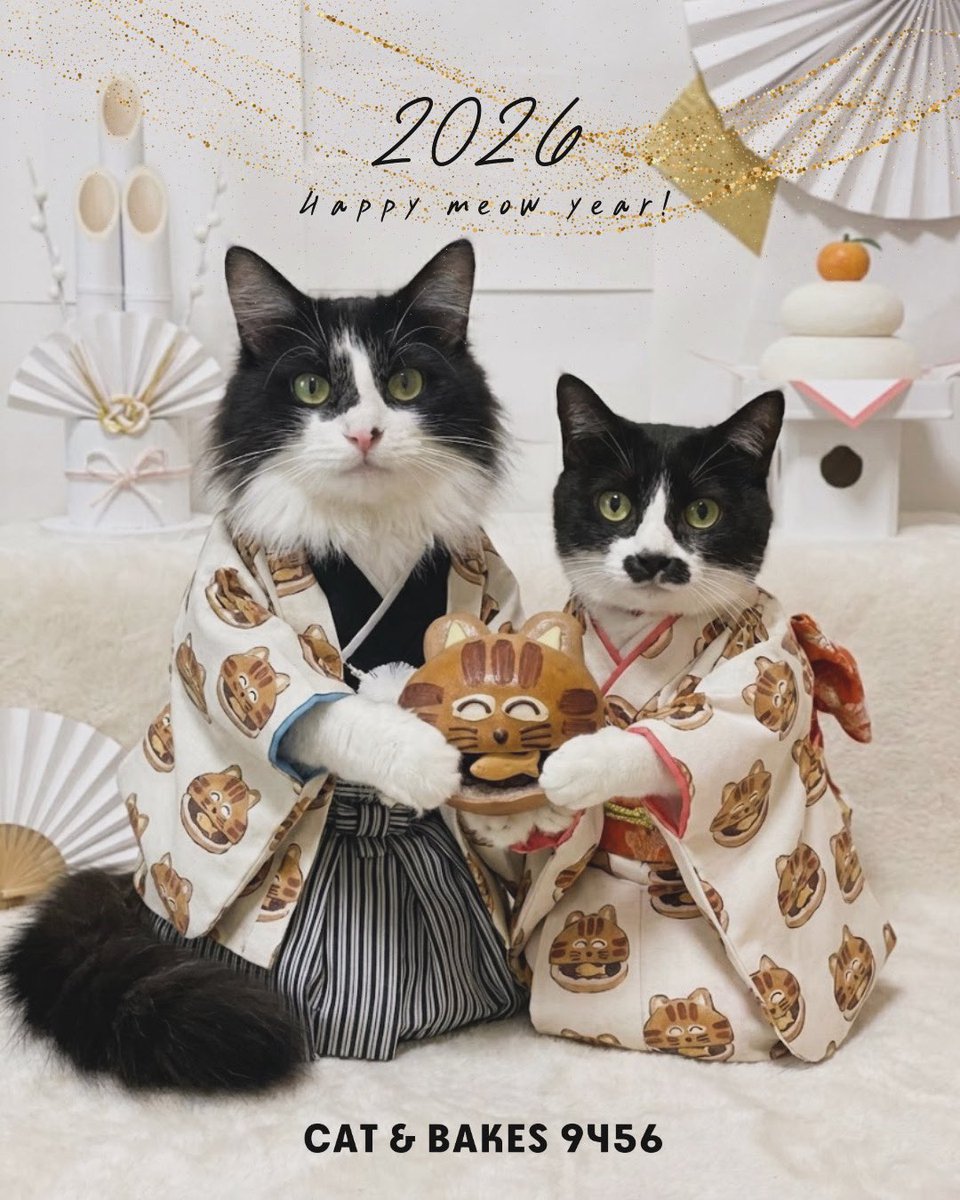 CAT & BAKES 9456 （キャットアンドベイクスグシコロ