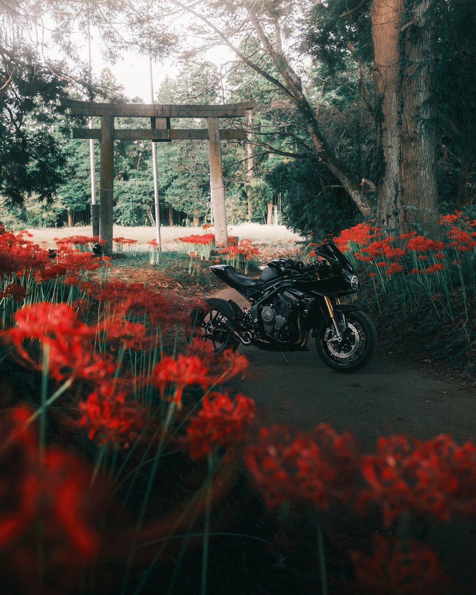 Ri☺︎na (@zx66666666r) / Posts / X