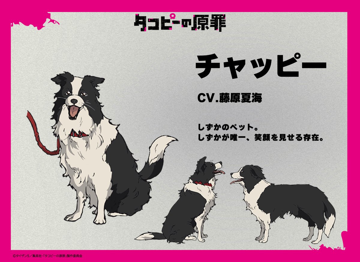 ୨୧ 登場人物紹介 ୨୧ チャッピー CV. #藤原夏海 #タコピーの原罪