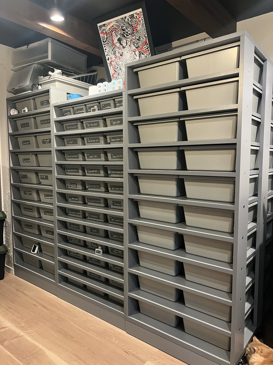 06snakeracks (@06snakeracks) / Posts / X