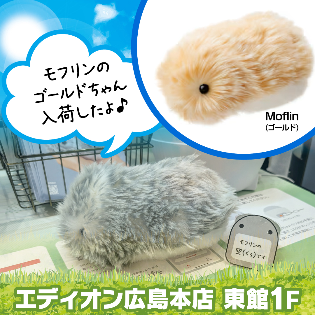 🎉すぐにお迎えいただける モフリン (ゴールド)🐾が 1匹 入荷しました