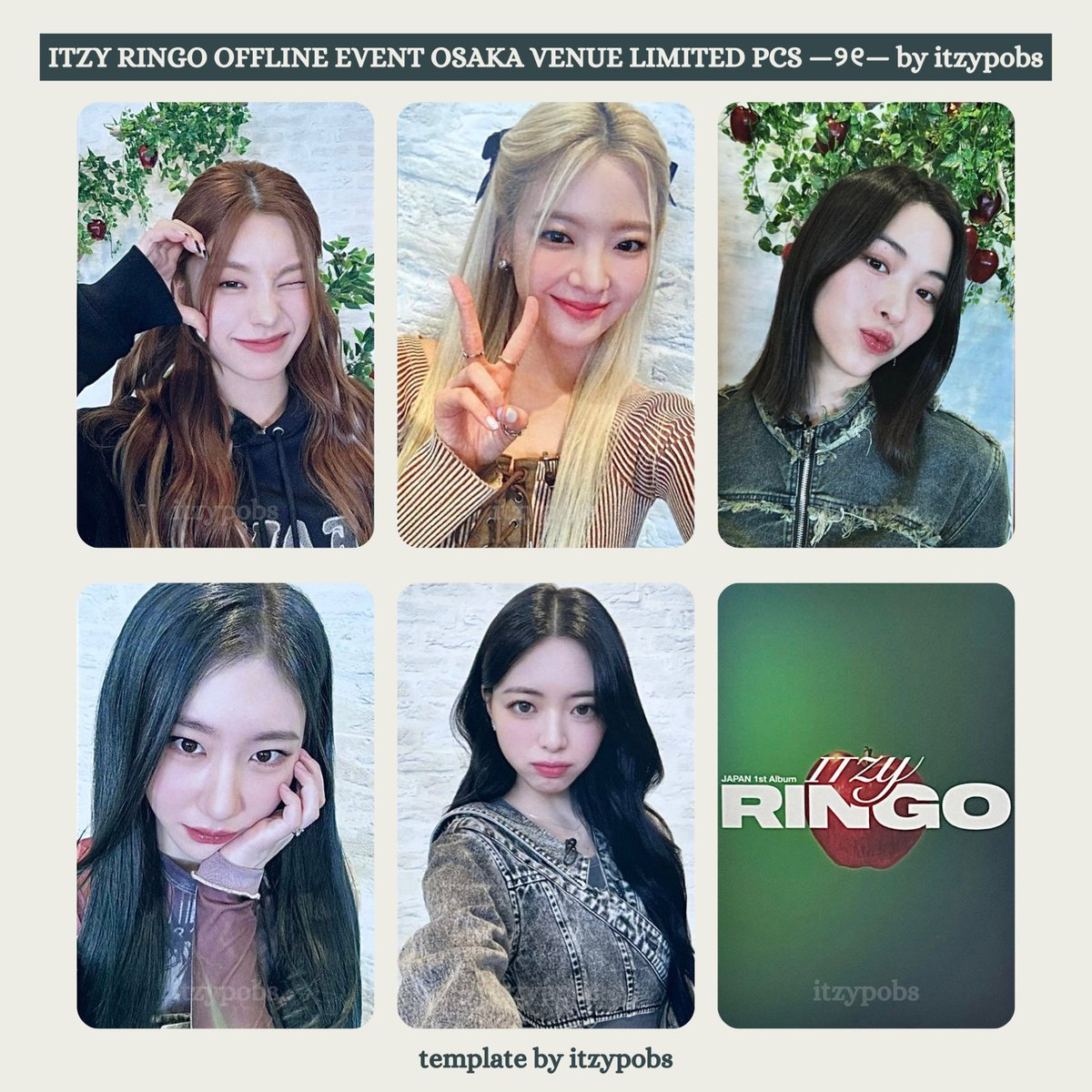 🍎 ITZY RINGO pobs / poca / pcs 있지 RINGO 포카 offline event
