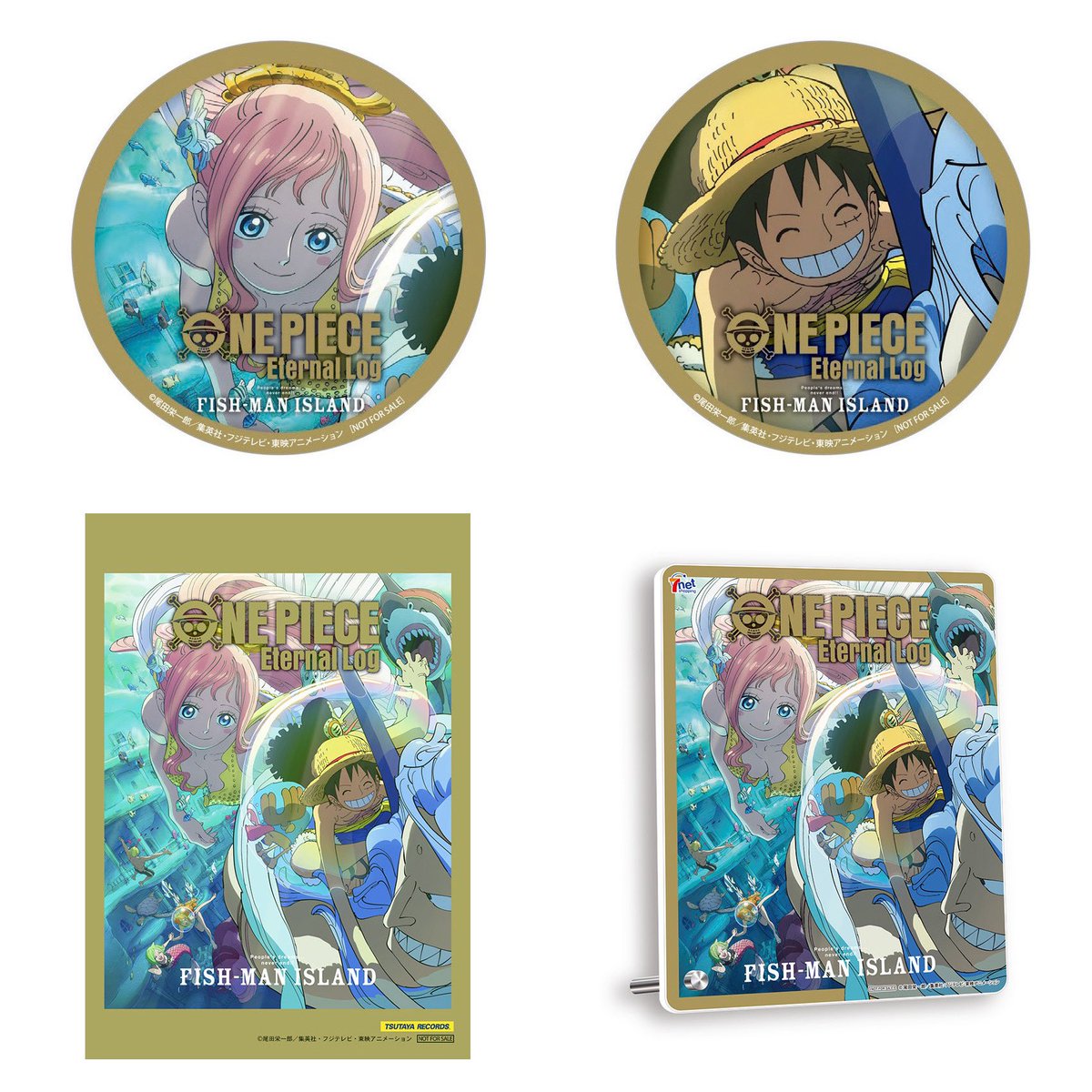 本日解禁】 2024.1.26(金)発売！ 『Eternal log “FISH-MAN ISLAND“』の