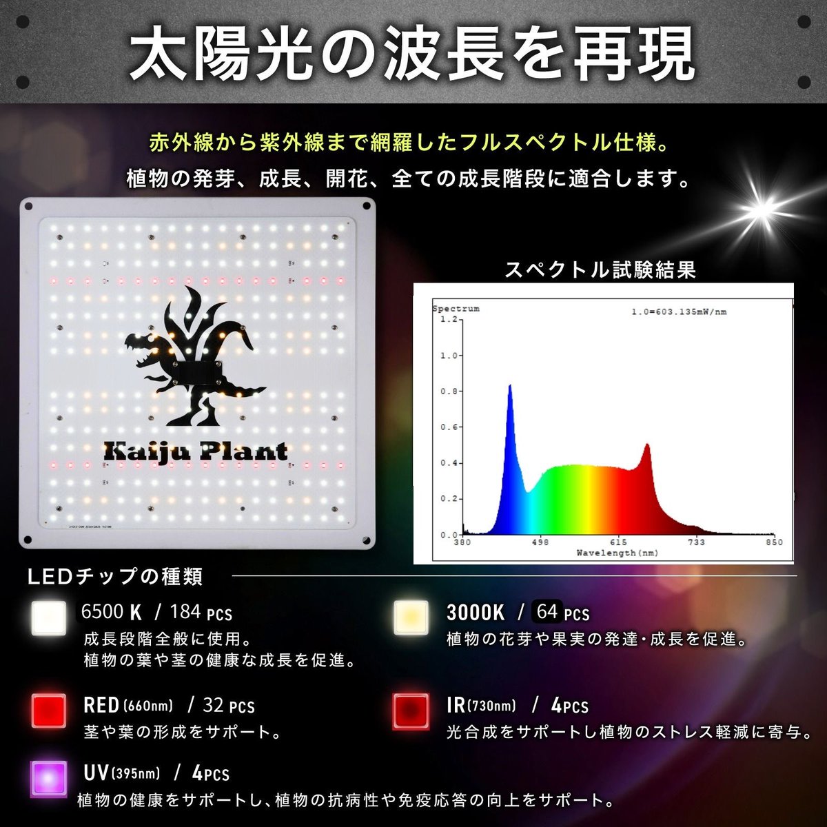 怪獣フレア301にホワイトカラー登場！！】 こんにちは Kaiju Plantです