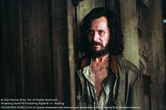 シリウス・ブラックが遂にハリーたちの前に!!!!!!!!!!!!! 演じるのは