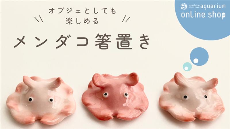 再々販売中♪／ 完売していた「#メンダコ 箸置き」がショップ アクア