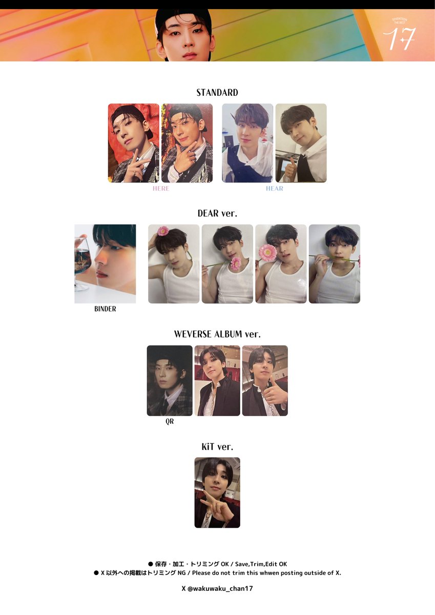 ヒポチ SEVENTEEN エッジコン 落下物 トレカ ジョーカーカード ウォヌ