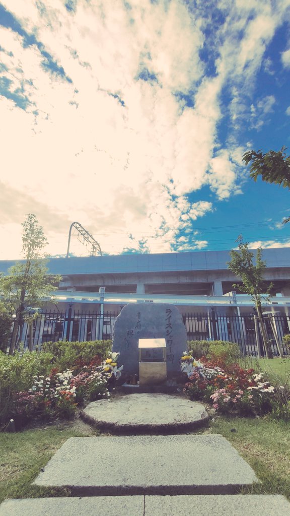 あれから、29年が経ちました。 #ライスシャワー 号、あなたのことを