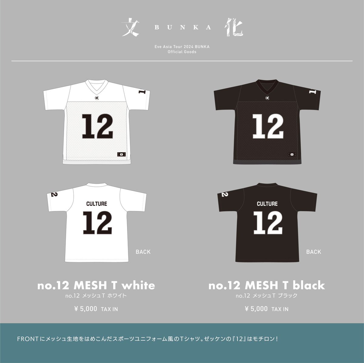 Eve Asia Tour 2024 追加公演「文化」グッズ 🌿 🔹 no.12 MESH T